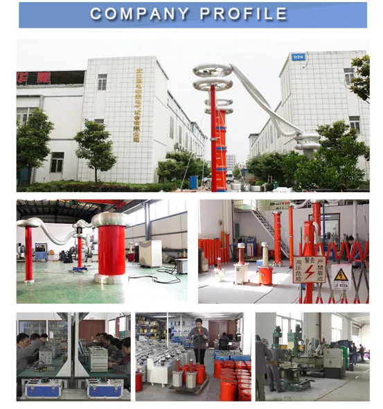 AC Dielectric Tester Resonance Withstand Voltage Resonant Test System Hipot Testerfor CVT
