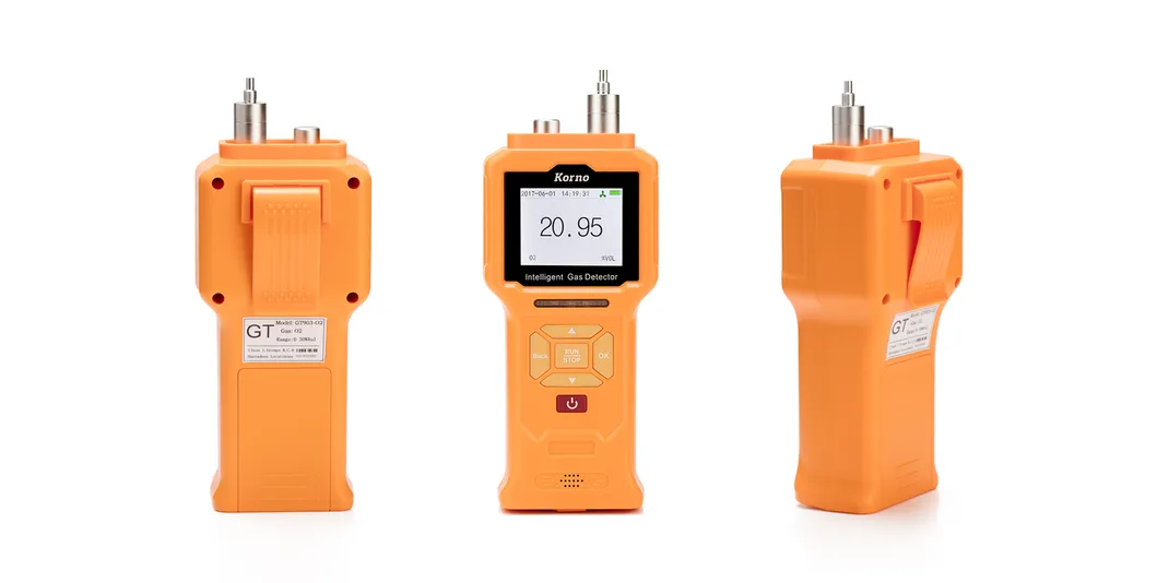 Hot Sale Pumping Hydrogen Sulfide Gas Leakage Alarm with Data Logger (H2S)